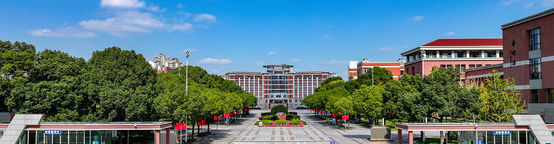 教师发展