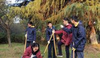 “众里寻他千百度” ——田垄间的喜悦