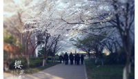 第八届春满校园比赛结果