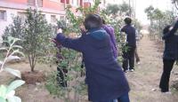 专项性学生义务劳动系列拉开序幕（200903）