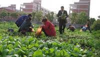 享受田间乐趣反馈（20090425）