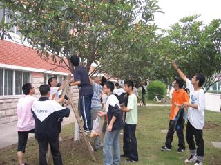20090527享受丰收的喜悦系列