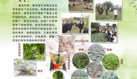 学生校内劳动基地集锦(20111114)