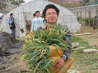 20080331学生义务劳动