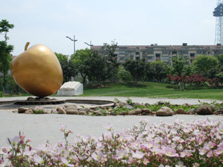 金苹果