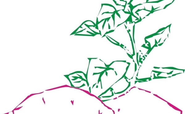 2022年第30届科技节项目-农产品包装设计
