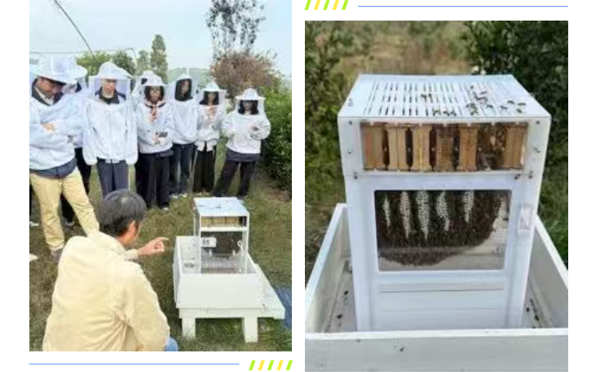 【学生活动】蜂狂研学记！天一中学师生解锁农场里的生态密码