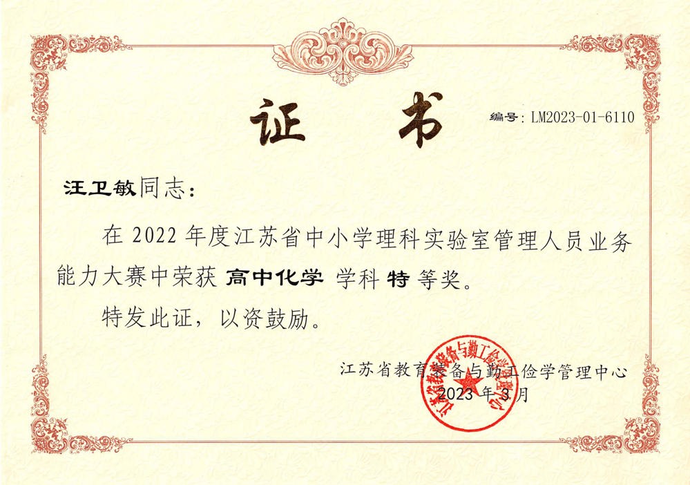 汪卫敏省特等奖